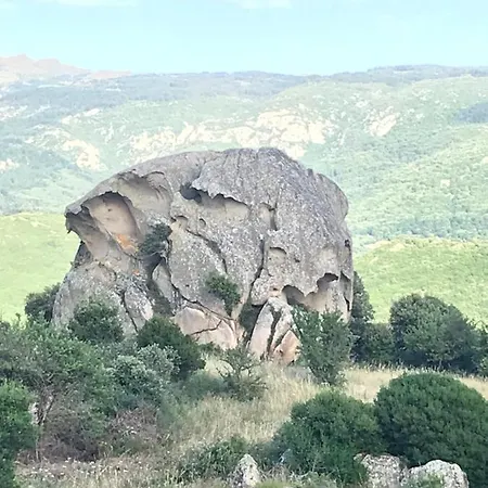 Lu Palazzeddu דירה *