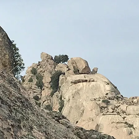 Apartment Lu Palazzeddu