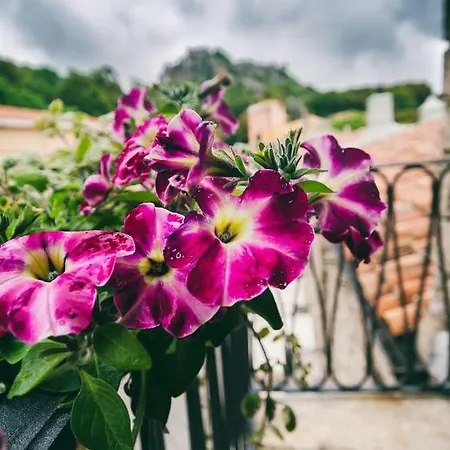 Apartment Lu Palazzeddu